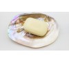 Large White and Champagne Shell Jewelry Trinket  or Soap Dish (PS-200725)