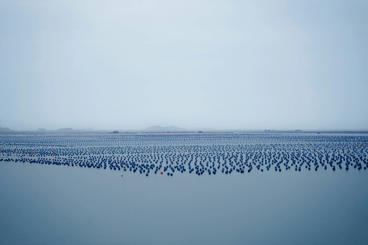 Freshwater cultured pearl farm